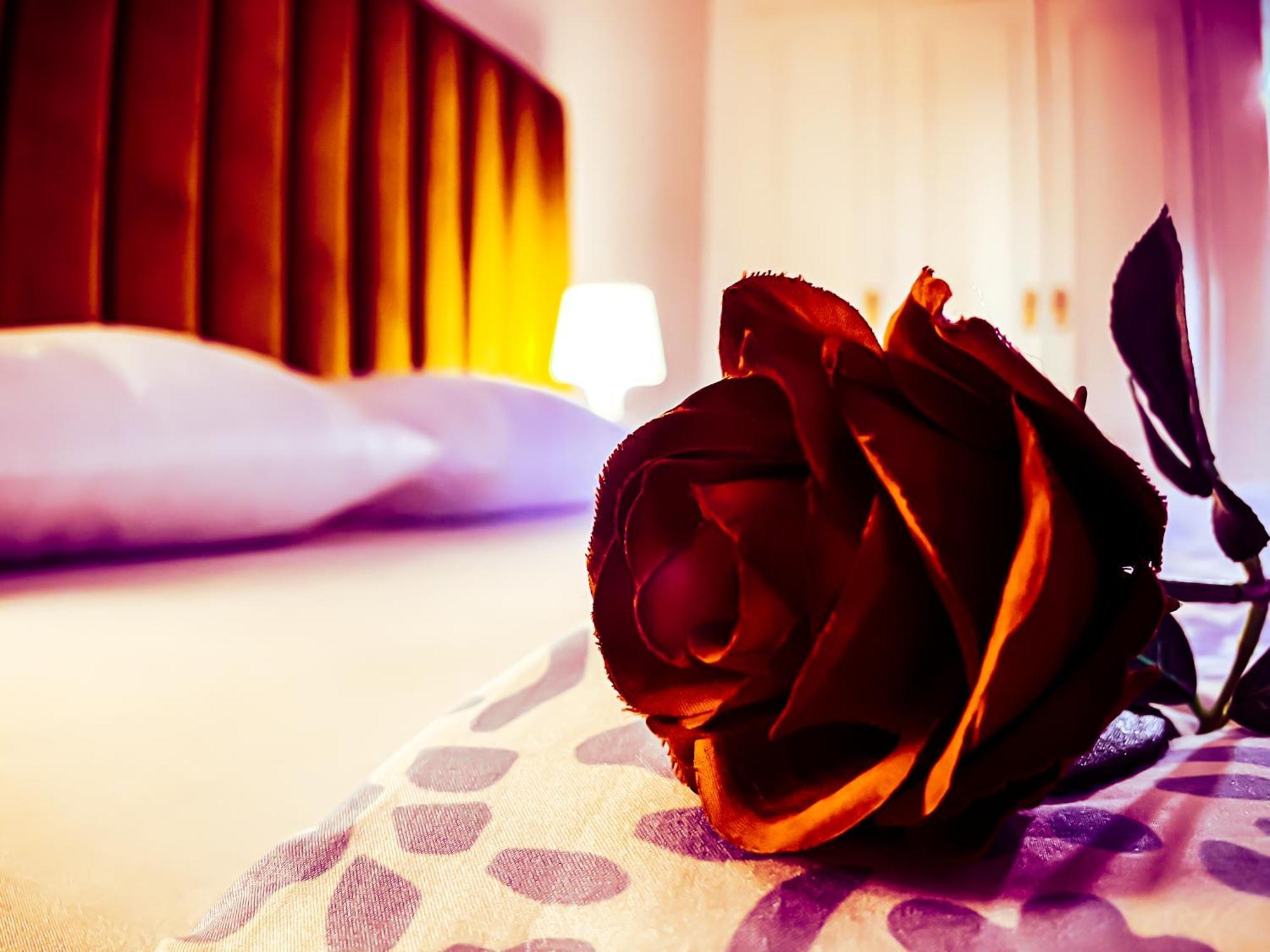Cozy And Fully Equipped For Comfort And Luxury, Near The Train Station And Facing Hilton Air Conditioner